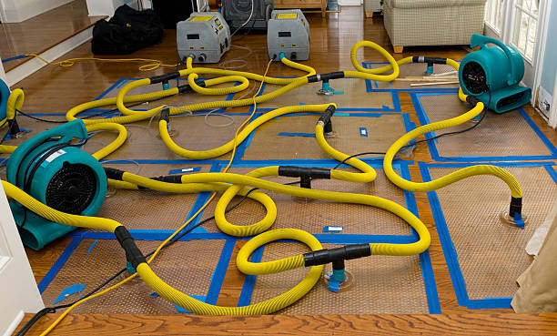 Professional Crawl Space Water Removal technician working in Mitchellville, IA